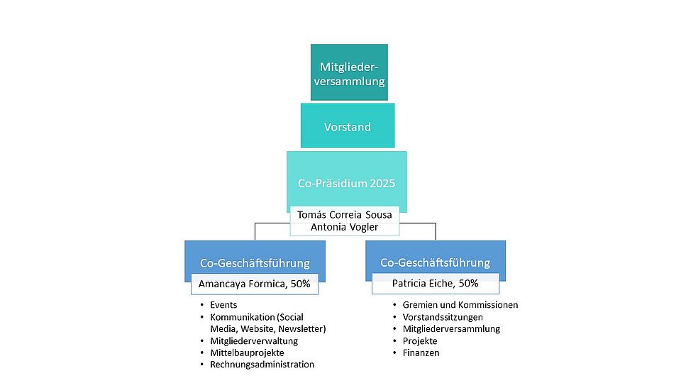 Organigramm