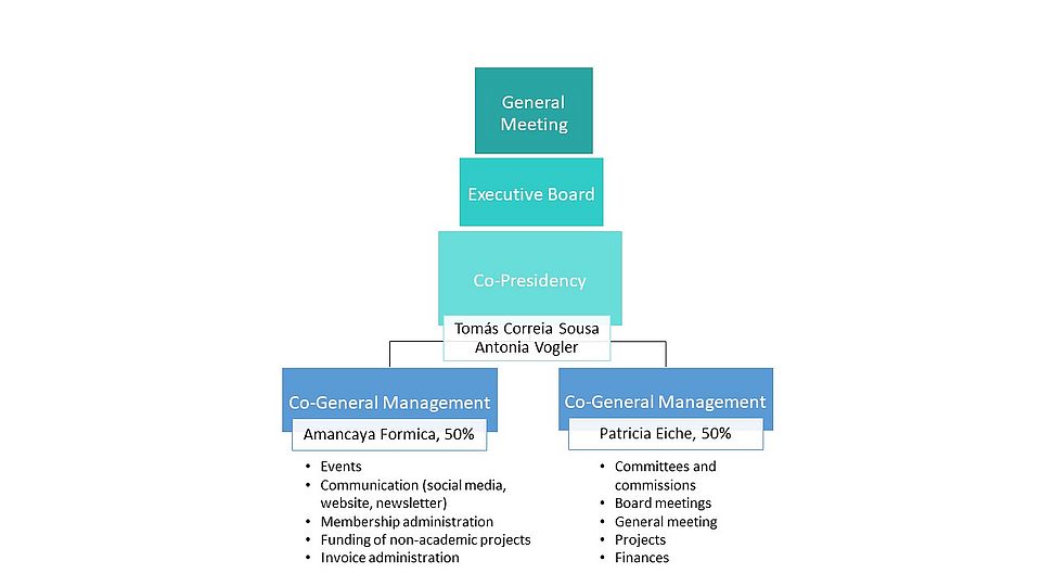 Organigramm 2025