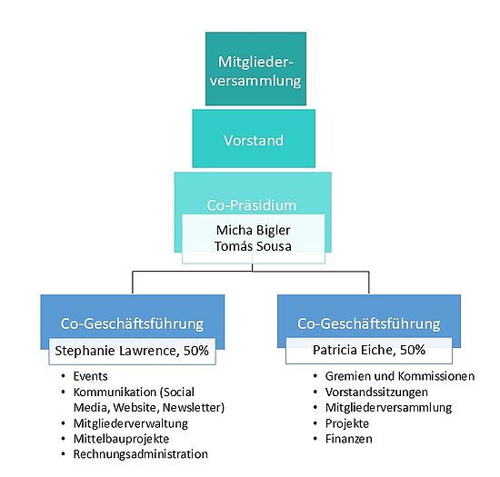 Organigramm